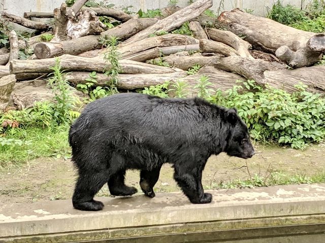 Hitachi Kamine Park