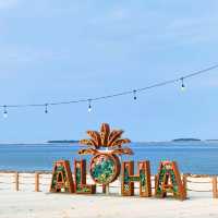 Beach Vibe of Aloha