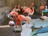 Sapporo City Maruyama Zoo
