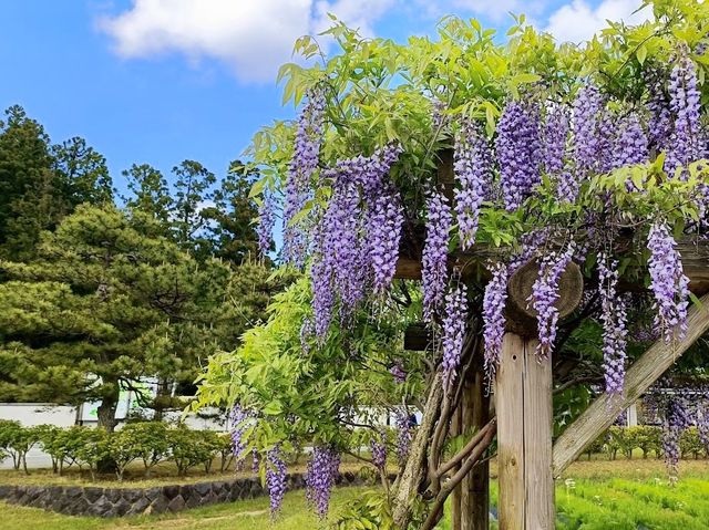 Akita Prefectural Koizumigata Park