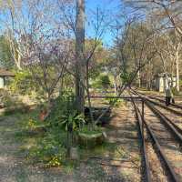 中科崴立櫻花公園
