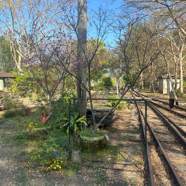 中科崴立櫻花公園