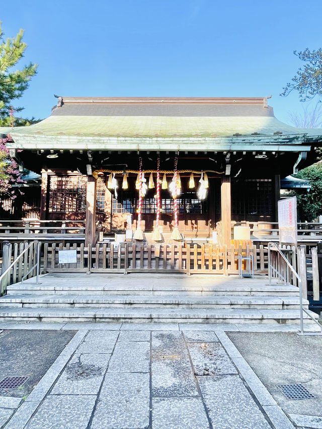 【新宿下落合氷川神社/東京都】歴史深い神社と河津桜