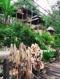 Fig Tree Hill Resort - Back to Nature