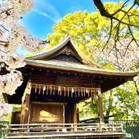 【上野東照宮/東京都】五重塔と桜が美しい神社