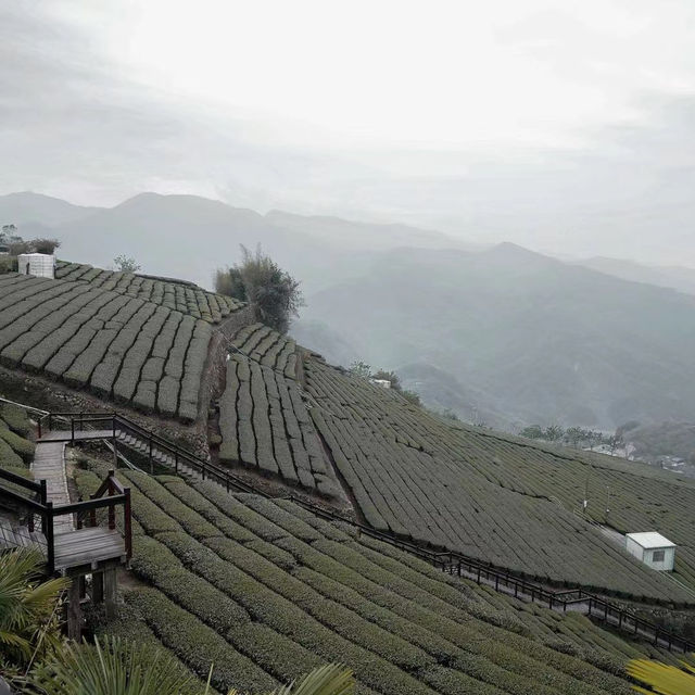 【臺北景點】陽明山國家公園：清新山區疲憊時放鬆