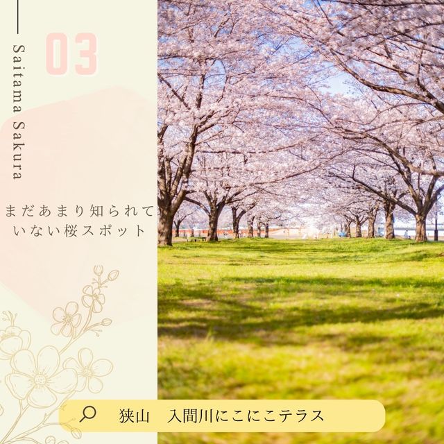 ドライブにおすすめ！埼玉桜散歩🚗🌸