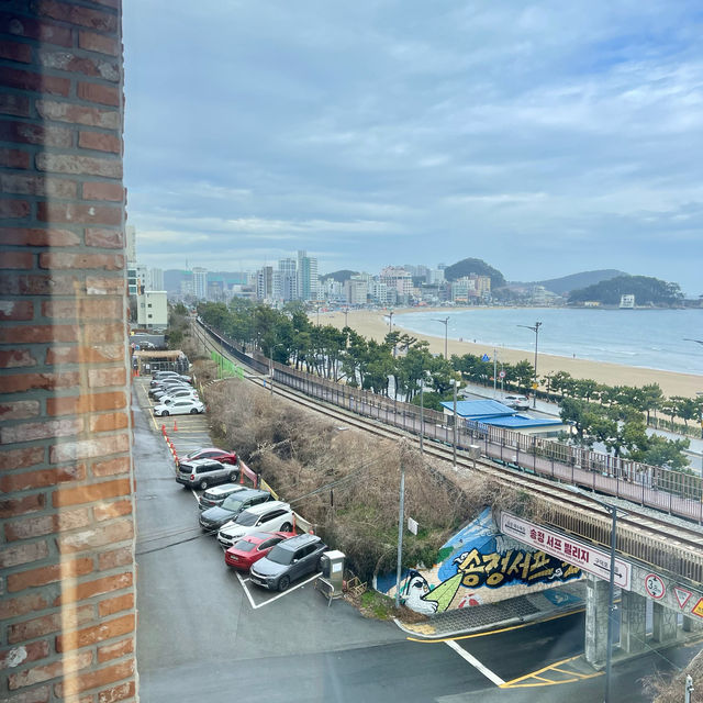 Busan cafe ชมวิวหลักล้านกับรถไฟปู๊นๆๆ 🚃 🤍