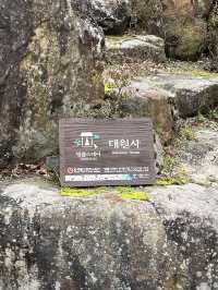 국내 이색체험 템플스테이