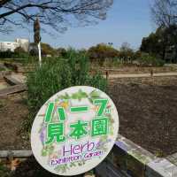名古屋市の桜名所「荒子川公園」