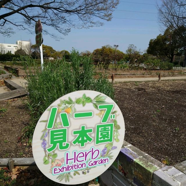 名古屋市の桜名所「荒子川公園」