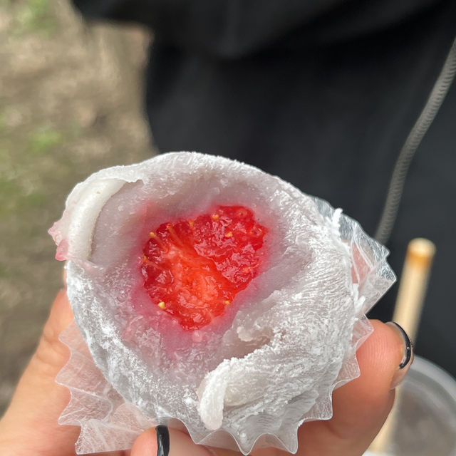 🔥후쿠오카 3박4일 가성비 최고 에어텔 여행🔥