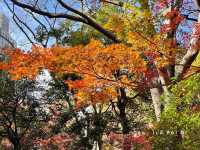 🍁สวนสาธารณะฮิบิยะ Hibiya Park 