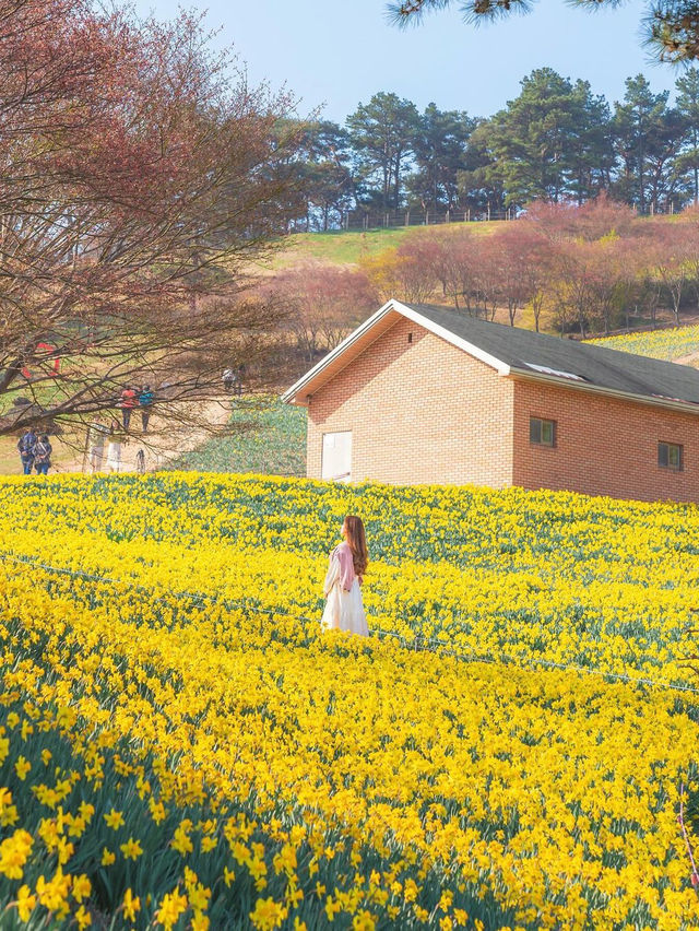 🌼 지리산치즈랜드 🌼