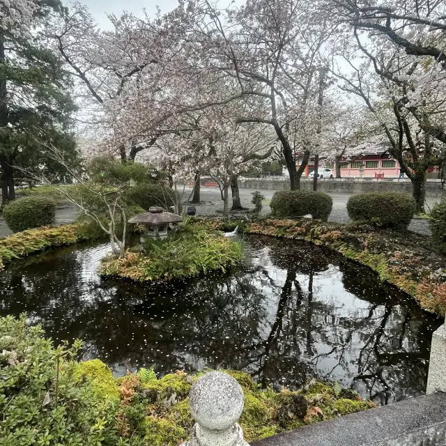 富士山本宮浅間大社