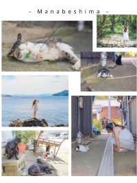 【保存版】にゃんこで溢れる瀬戸内の猫島5選！