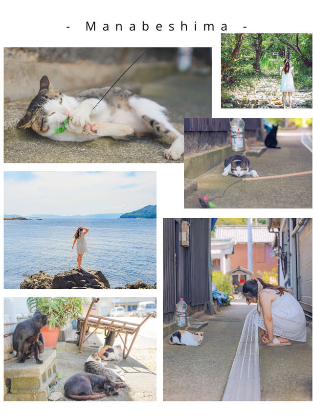 【保存版】にゃんこで溢れる瀬戸内の猫島5選！
