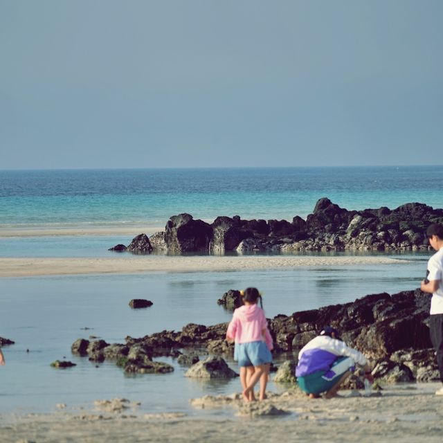 🌊 김녕성세기해변, 역사와 자연이 어우러진 바다