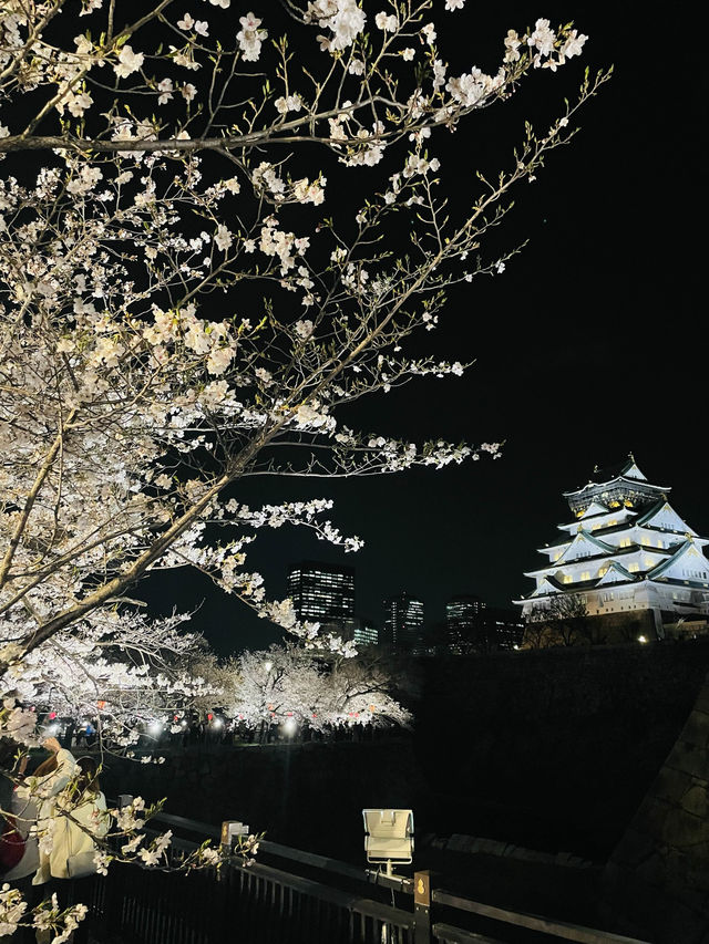 【大阪府】夜桜が美しい大阪城西の丸庭園