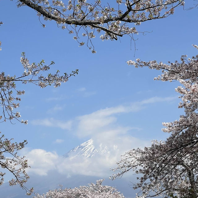 Fujinomiya 