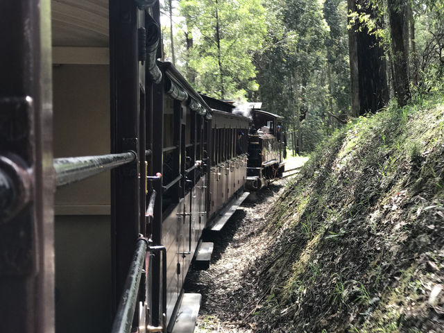 普芬比利蒸汽火車 & 菲利普島野生動物一日遊