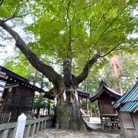 【穂高神社/長野県】海神族の祖神と船を司る