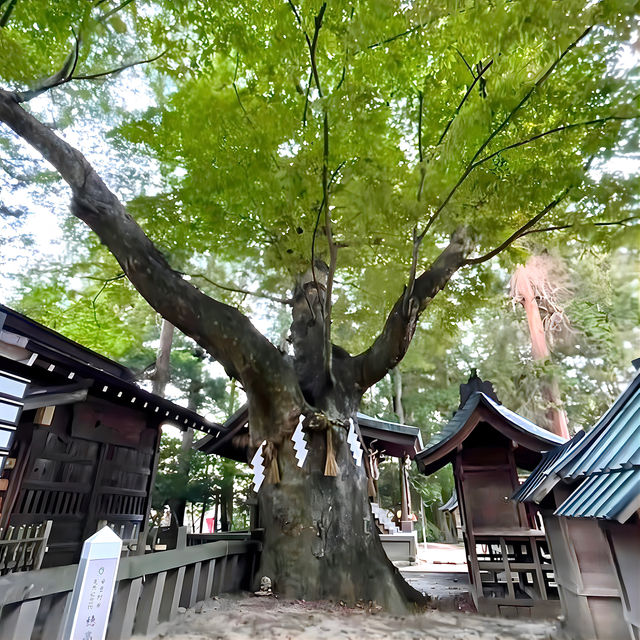 【穂高神社/長野県】海神族の祖神と船を司る