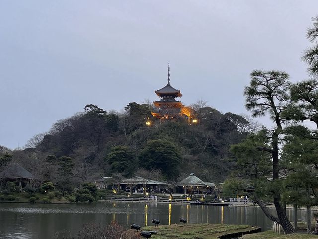 桜が楽しめる三溪園@横浜　〜春〜　🌸