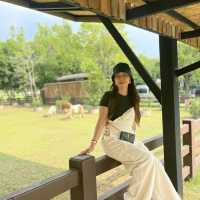 Trot Cafe Khaoyai 
