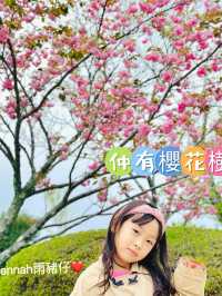 夢幻大阪遊樂園