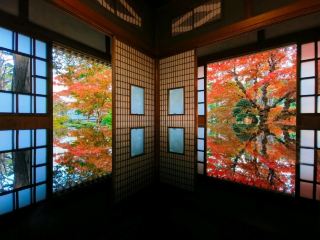 Hokkaido, Japan - Umemura Garden, a Poetic Vision of Maple Red as if from a Postcard.