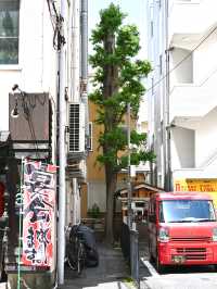 【亀嶋神社/東京都】ご利益ありそうなものに囲まれる