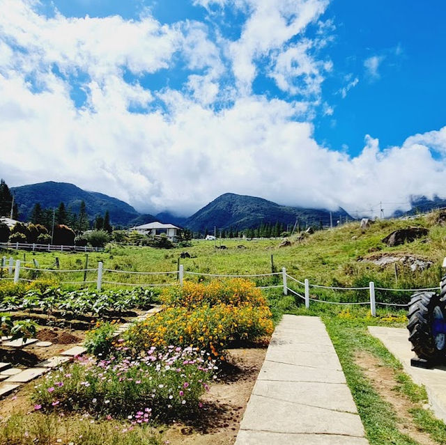 New Zealand Scenery in Malaysia 