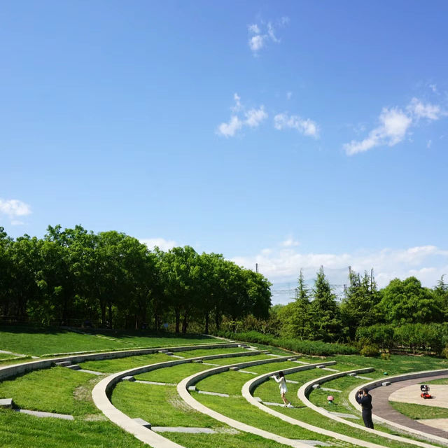 「谷中公園：歷史與自然之美，適合放鬆和沉思的春天好去處」