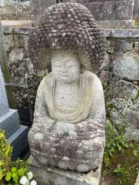 【京都】それはこのお寺にありました