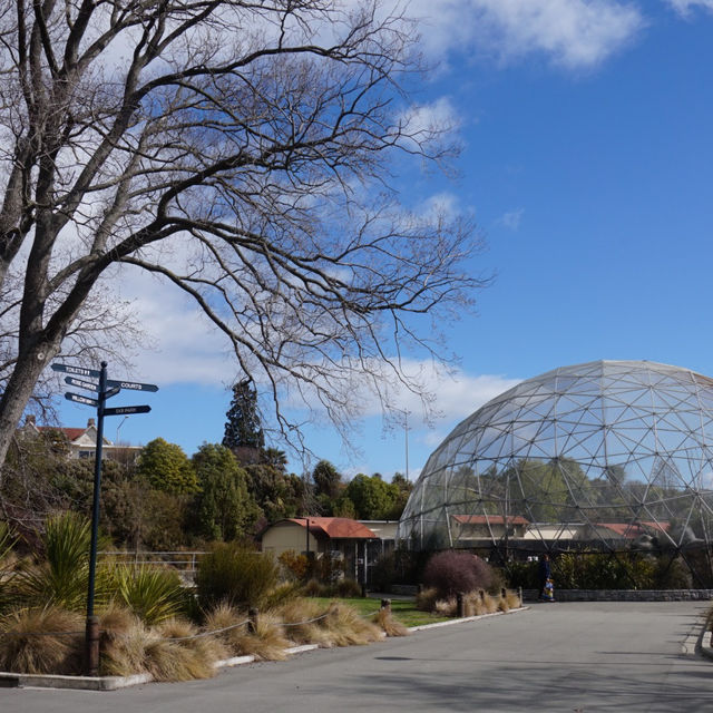 Rose garden in Timaru that you should not miss