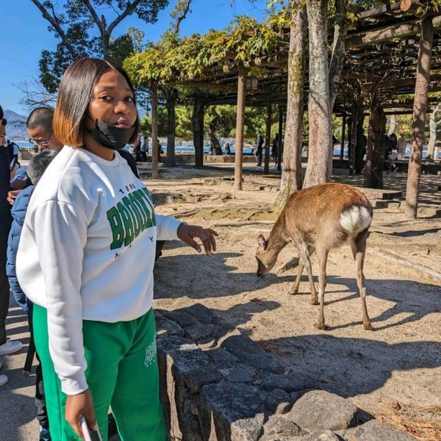 fun time at Miyajima 