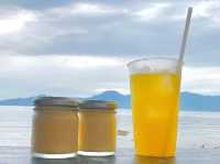 【糸島】福岡でトトロの森探検&絶品塩プリンを食す