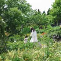【京都｜比叡山】印象派の作品と美しい庭園に癒される、ガーデンミュージアム比叡