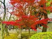 Horyuji stands as one of the nation’s oldest temples 🇯🇵
