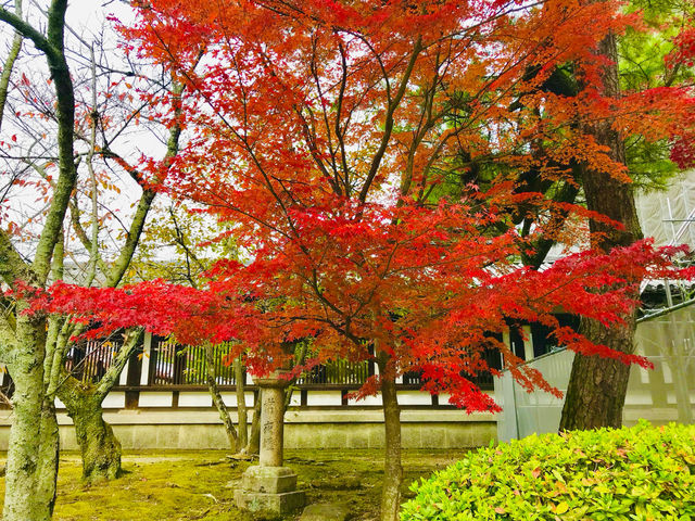 Horyuji stands as one of the nation’s oldest temples 🇯🇵