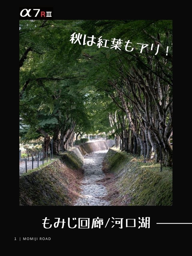 【山梨】富士山麓のおすすめ写真スポット6選！