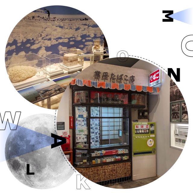 小眾特色博物館🤩