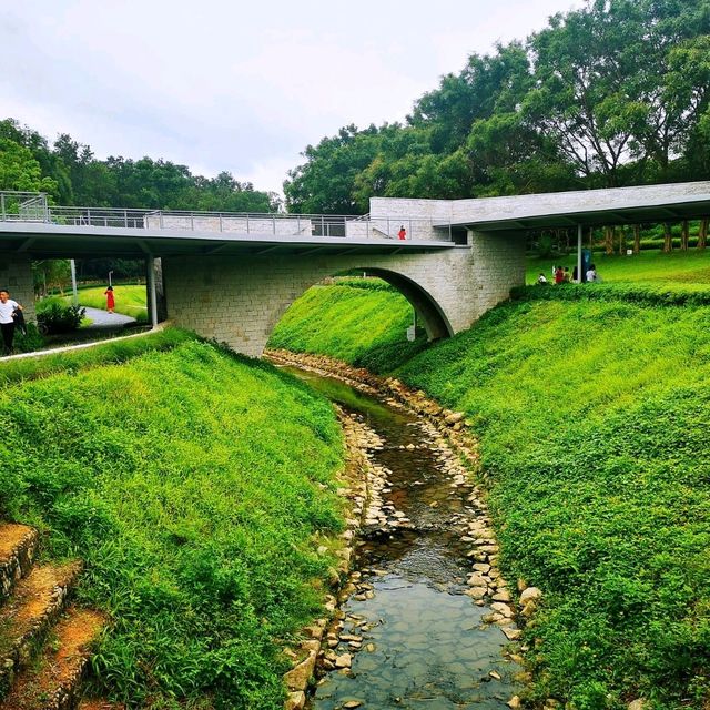 環西麗湖綠道 環西麗湖綠道