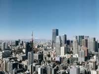 Tokyo tower view at Park Hotel Tokyo