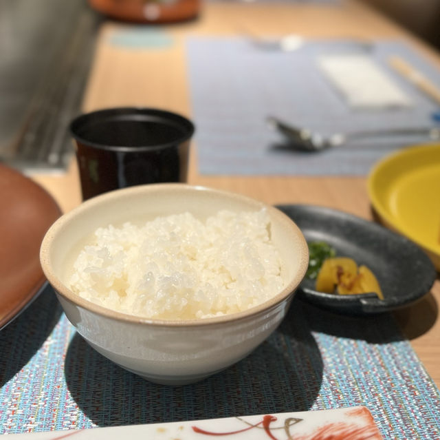 【沖縄 宮古島】 極上の宮古牛を‼︎LIVE感を楽しめるお店🐮 【沖縄 宮古島】 極上の宮古牛を‼︎LIVE感を楽しめるお店🐮