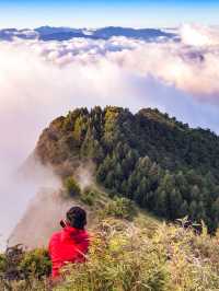 台灣桃山日出雲海
