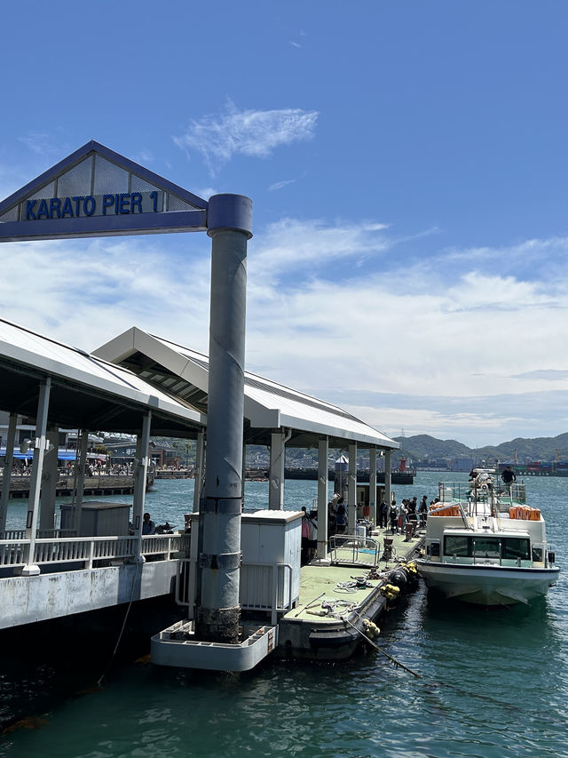 【 免費與海豚互動。水族館•海響館 】