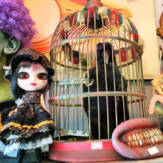 夏旅は京都へ行こう💠オープンしたばかりのサーカスみたいな雑貨屋さん