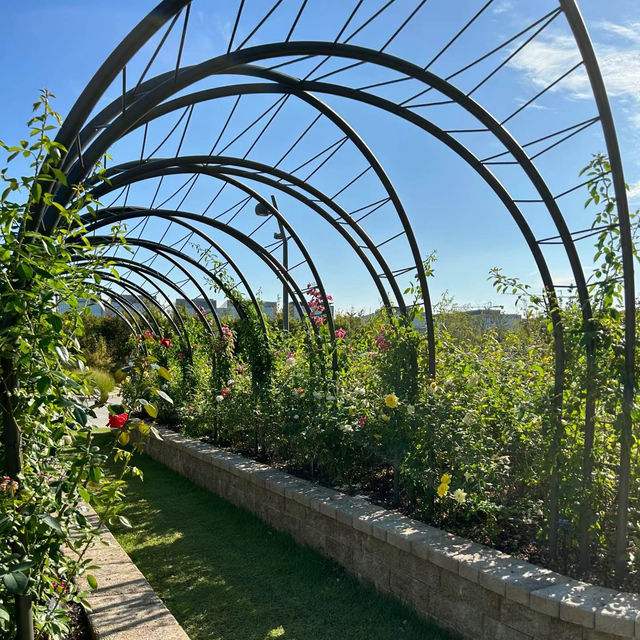 Miro Park：花園中的自然之美